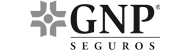 GNP